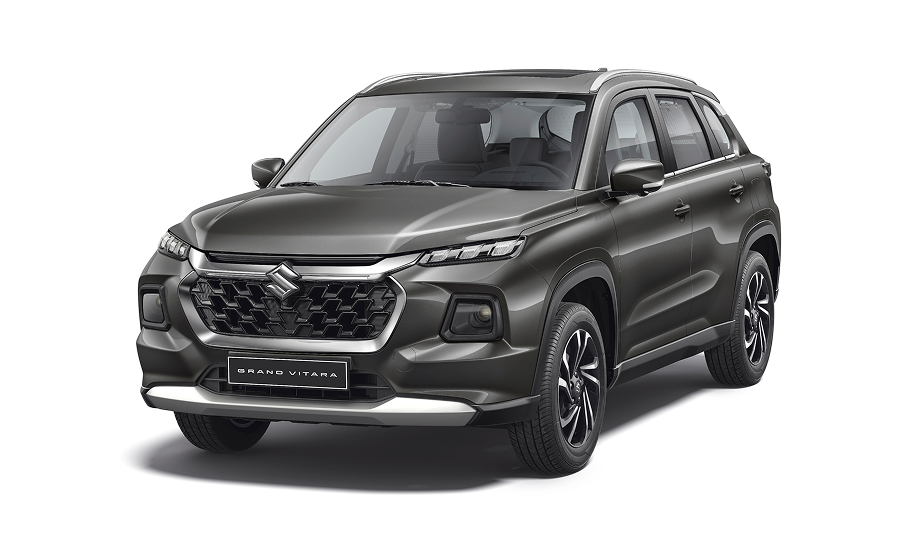 SASA-GV-Grandeur-Grey-Pearl-Metallic-GV2026