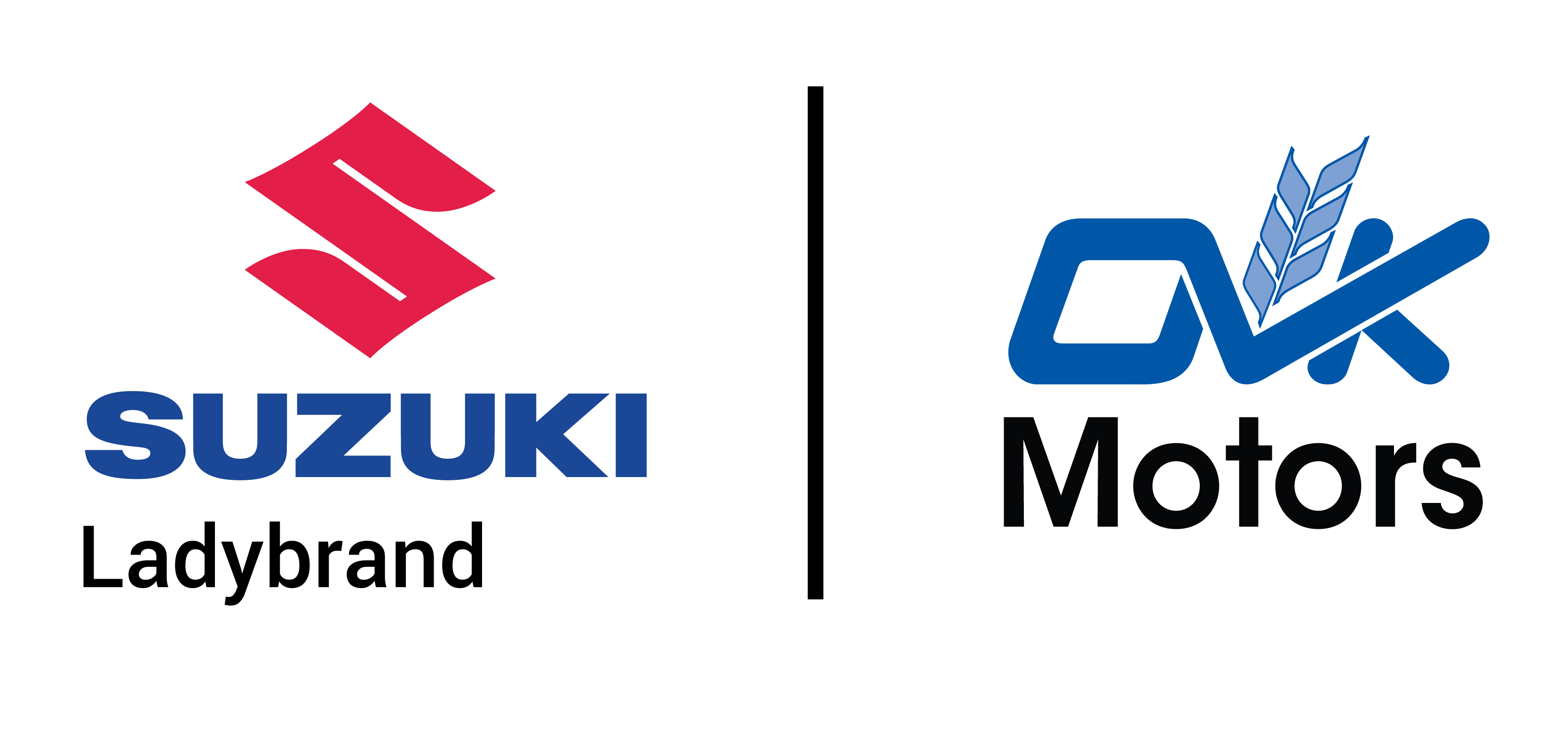 Suzuki logo-01